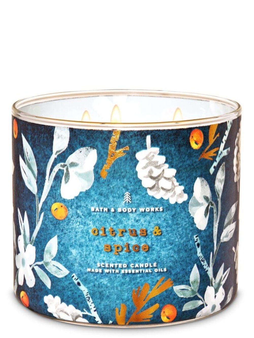 Bath & Body Works Citrus & Spice 3-Wick Scented Candle - Blue